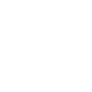 1337Cel's emblem