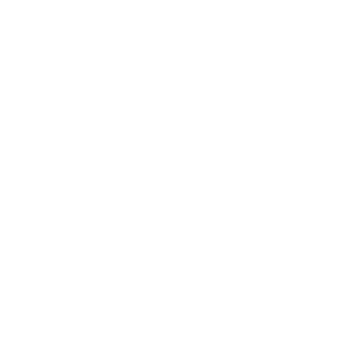 stef4nio's emblem