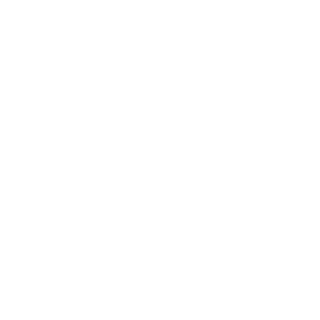 hjchejincheng's emblem