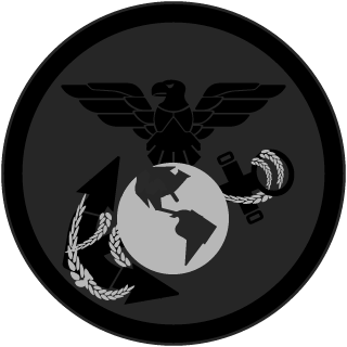 SEAL Specialist's emblem
