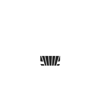 SalanbauUA's emblem