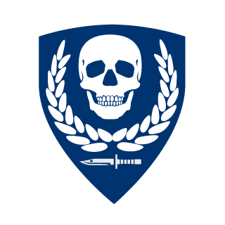 raphi2007's emblem