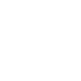 MysteryBull's emblem