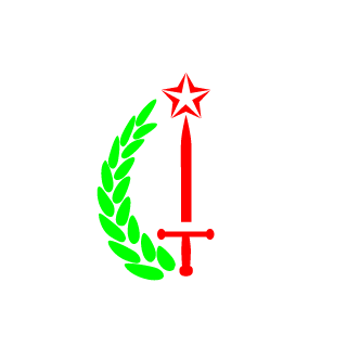 mesbahfouad's emblem