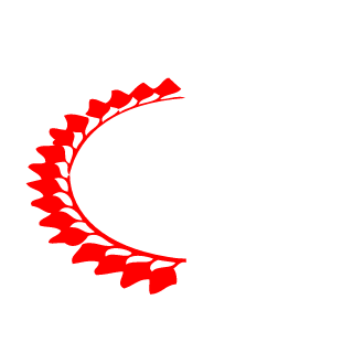 Darklort31's emblem