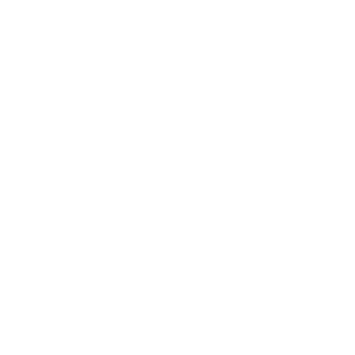Soviron's emblem