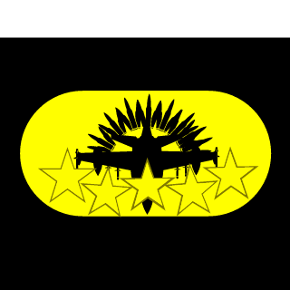 mayhem lnSaNe's emblem