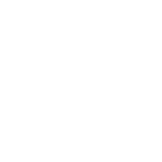 BigPaje's emblem