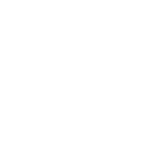 2s0e0b0i's emblem