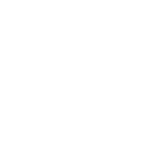 AMDK5's emblem