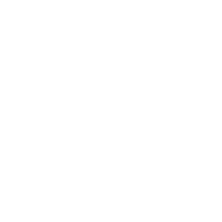 nosyrom_PL's emblem