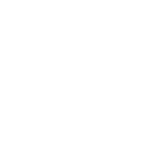 VADER-RU's emblem