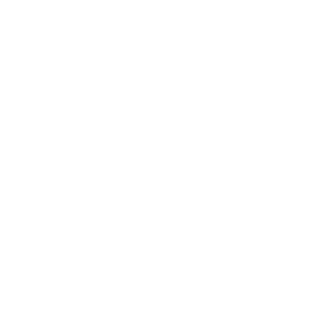 16089900's emblem