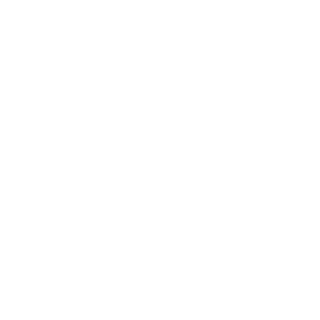 Artem19082005's emblem