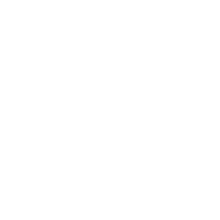 HLDTSCHLND's emblem