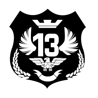 QzInfinityEvo's emblem