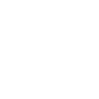 NotoriousZeek's emblem