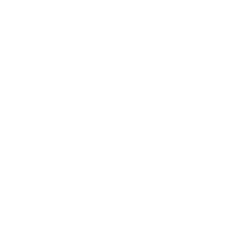 tacticalslime69's emblem