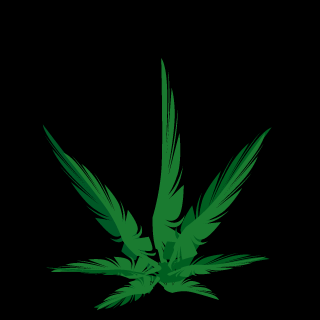 Danko_Sekka's emblem