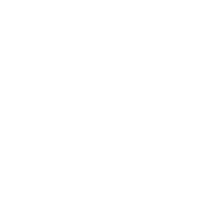 reVerseAction's emblem