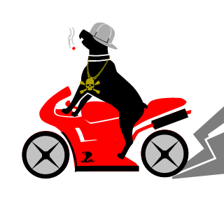 6MrStealy9's emblem