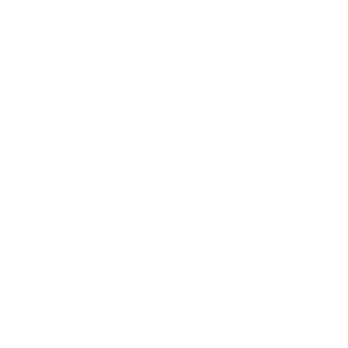 05311's emblem