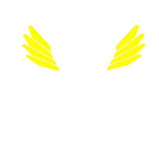 georgexcv's emblem