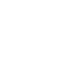 BenjaVariu's emblem
