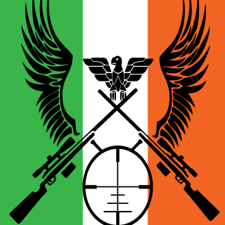 Skater-267's emblem