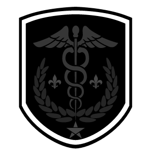 ShadowKnights's emblem