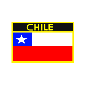 Marinechileno's emblem