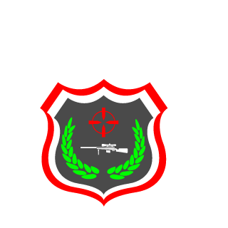 dude_WTH's emblem