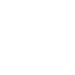 Burzamach1ne's emblem