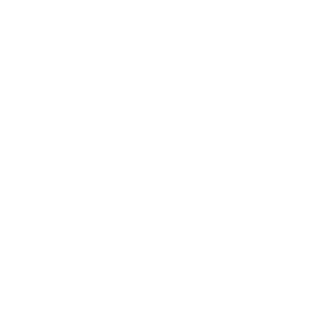 CDTHFlash's emblem