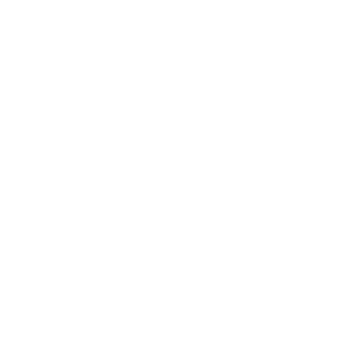 HAWKJESS's emblem