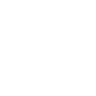 NachoTheLuLz's emblem