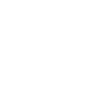 wsllyd's emblem