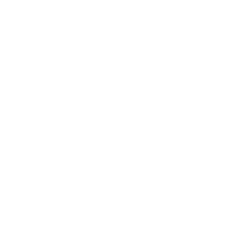 Soulbrain N0KD's emblem