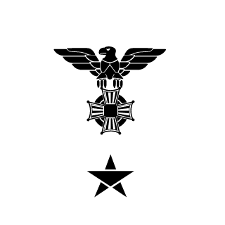 DarkZone's emblem