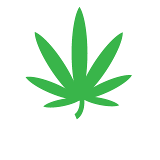 5emp1's emblem