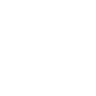 RenegadeRacr's emblem