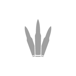 1020504712's emblem