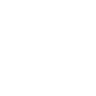 4inchDick's emblem