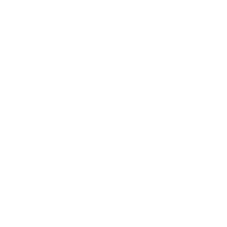 NightValkyrieX's emblem