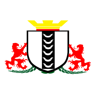 lapua408's emblem