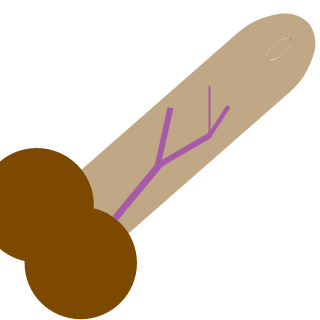 D_8LACK's emblem