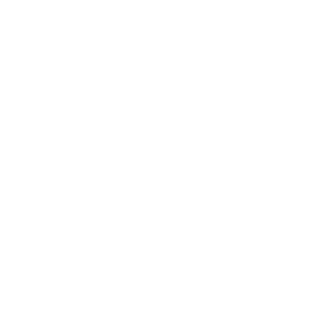 MalikPM1's emblem