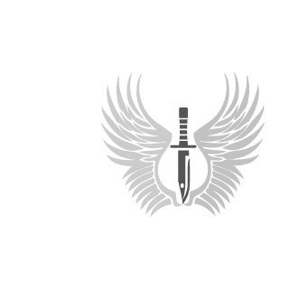 25Ph03NiX11's emblem