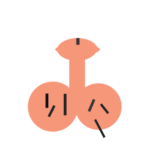 xdzantom's emblem