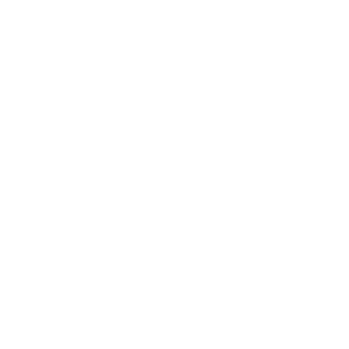 Seiidon's emblem